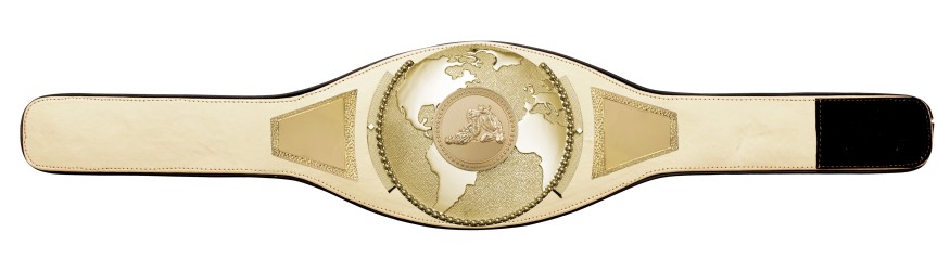 JIU JITSU CHAMPIONSHIP BELT PROGLOBE/G/JIUJITSUG - AVAILABLE IN 6+ COLOURS